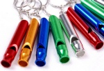 Alum.Mini Survival Whistle with Keychain